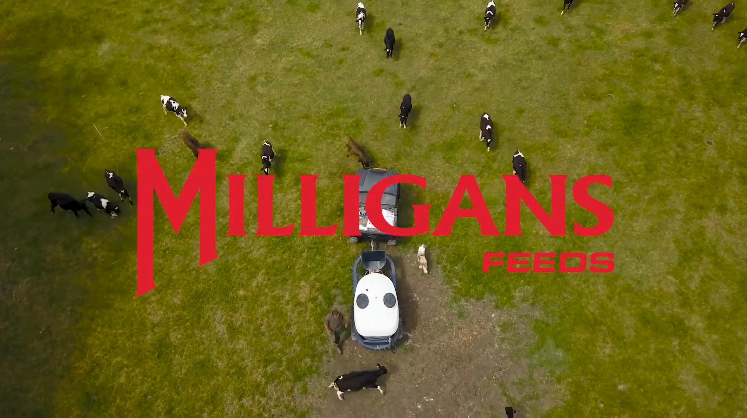 Milligans Feeds about us hero image